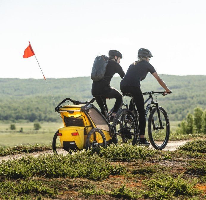 Rimorchio sportivo Thule Chariot Sport per bambini, Misure Dimensioni piegato: